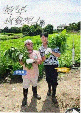 午夜神马影院美食综艺厨房没有秘密现场